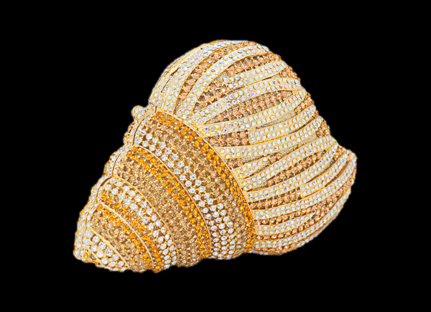 Seashell